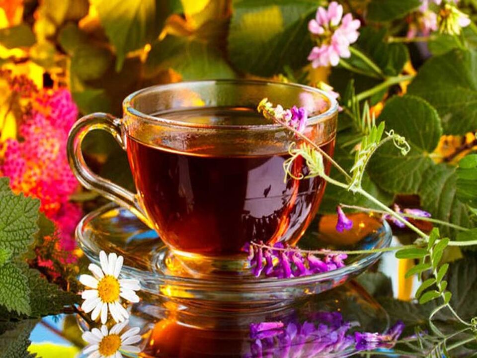 Infusionen und Abkochungen